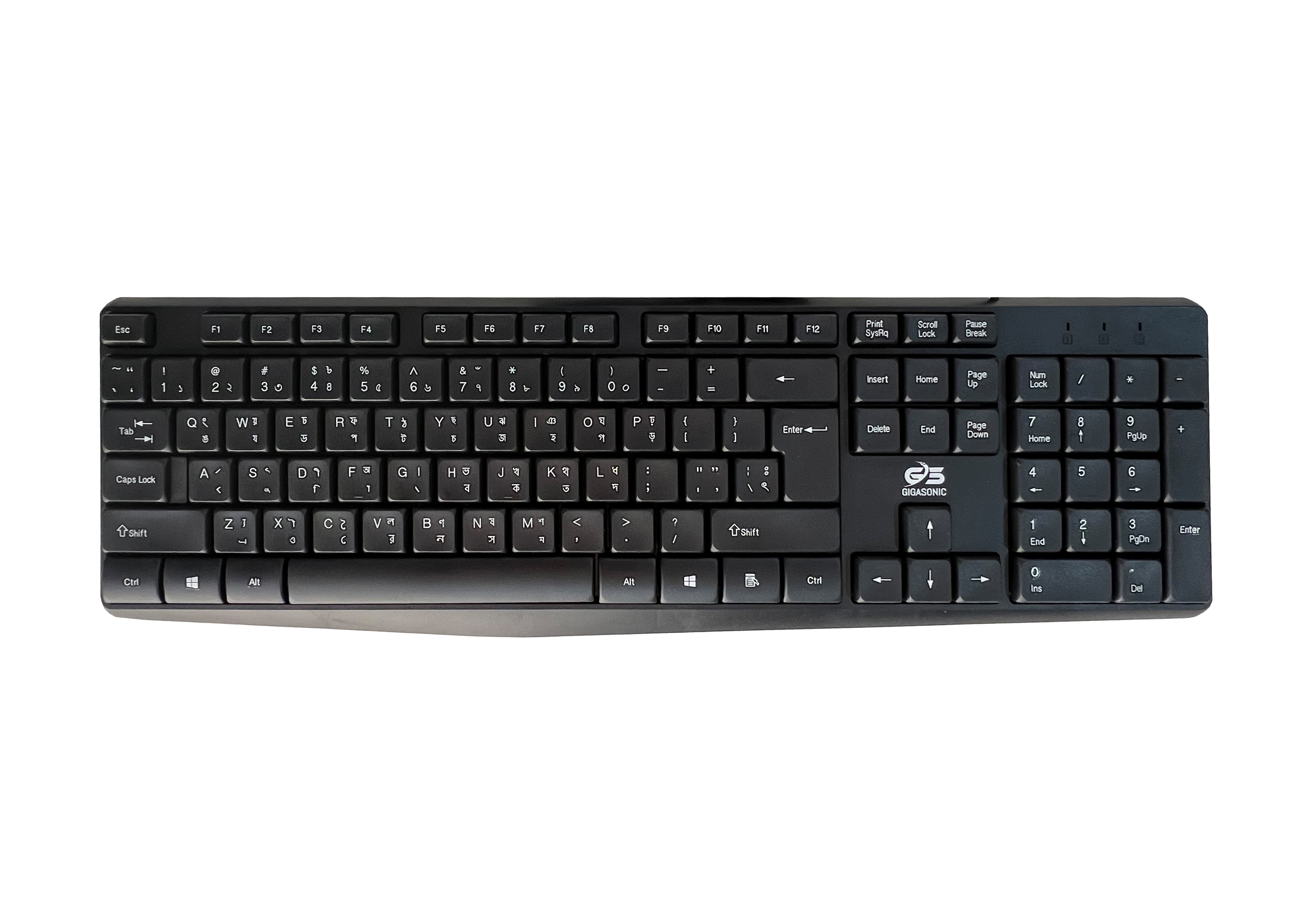GIGASONIC RGS1214D Office Keyboard